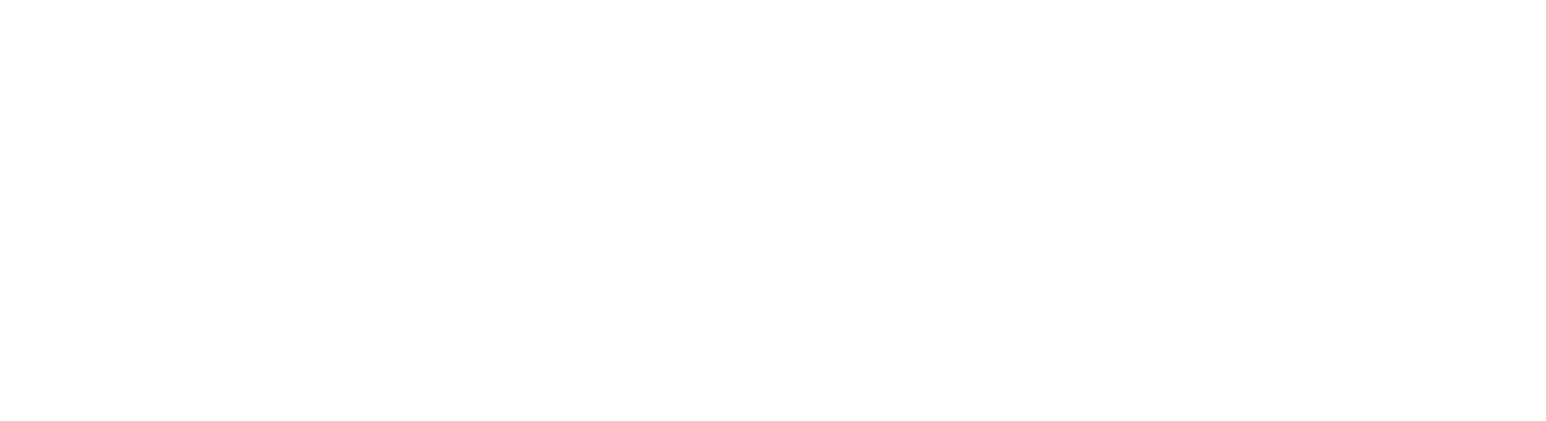 Apnic Logo